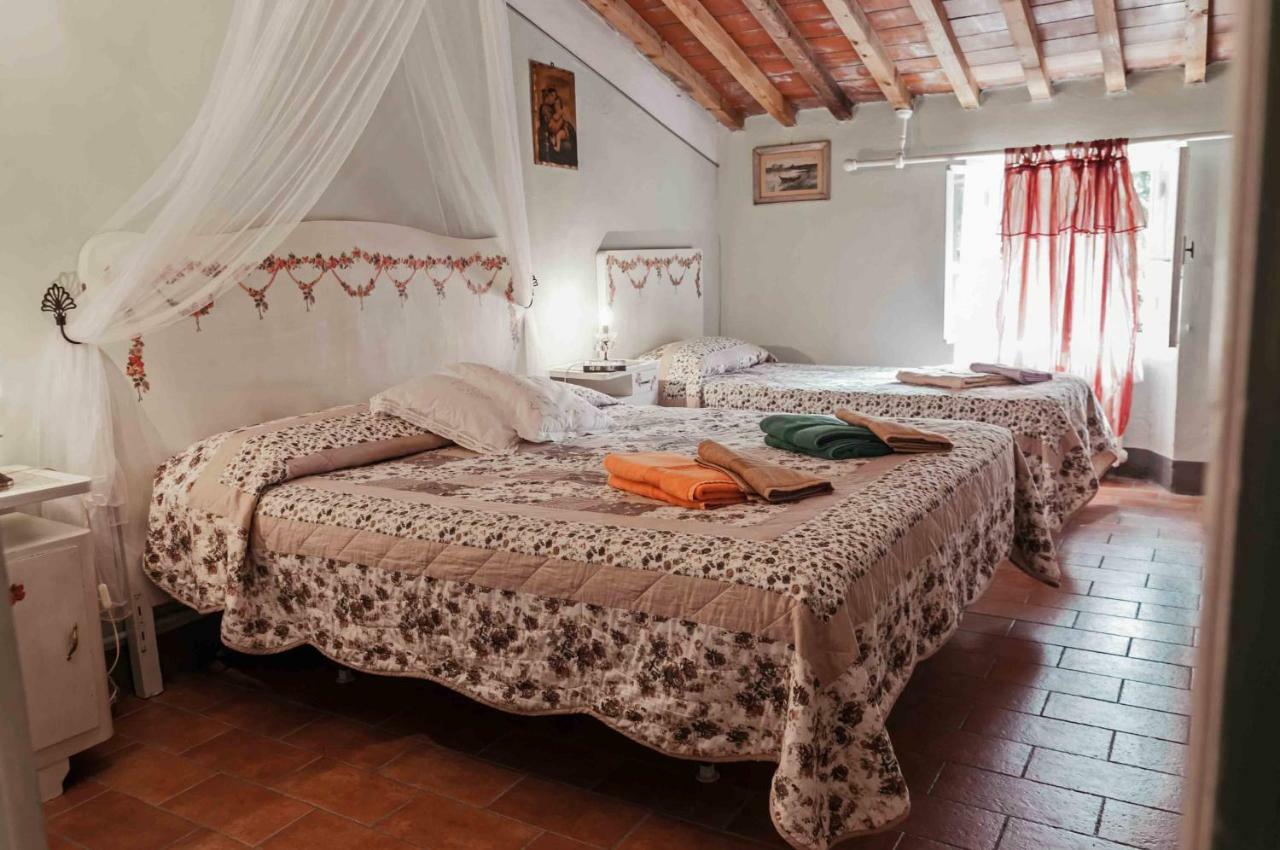 Agriturismo Corboli Vernio المظهر الخارجي الصورة